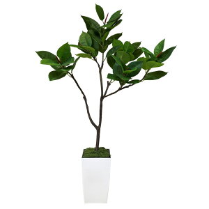 S̖ lHϗtA 140Z` tFCNO[ lHەt t G} GM140N