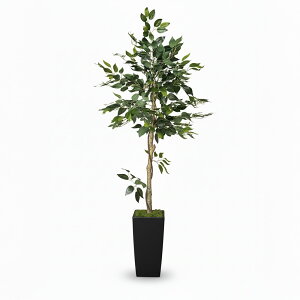 xW~̖ lHϗtA 180Z` tFCNO[ rO  ItBX X lHەt t G} RS180N