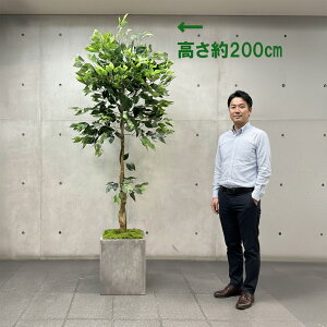 xW~̖ lHϗtA 200Z` tFCNO[ rO  ItBX X lHەt t G} RS200N