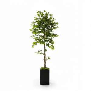 xW~̖ lHϗtA 210Z` tFCNO[ rO  ItBX X lHەt t G} RS210N