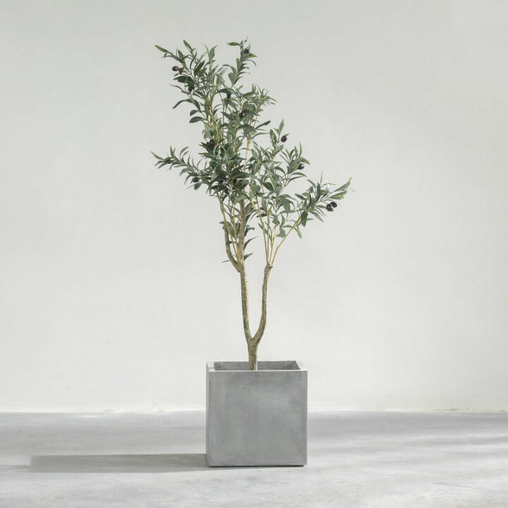 楽天市場】【訳あり】アウトレット 半額 植木鉢 43x43x43cm 観葉植物鉢  