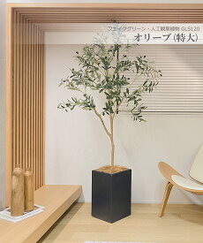 オリーブの木 200cm 特大 人工観葉植物 フェイクグリーン 観葉植物 造花 光触媒 鉢付 軽量セメント ファイバーセメント　フェイク グリーン インテリア おしゃれ　お祝い 消臭 GLS120 送料無料