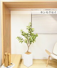 キンモクセイ 金木犀 150cm 人工観葉植物　フェイクグリーン 観葉植物 造花 光触媒 鉢付 軽量セメント ファイバーセメント　フェイク グリーン インテリア おしゃれ　お祝い 消臭 CH112 送料無料