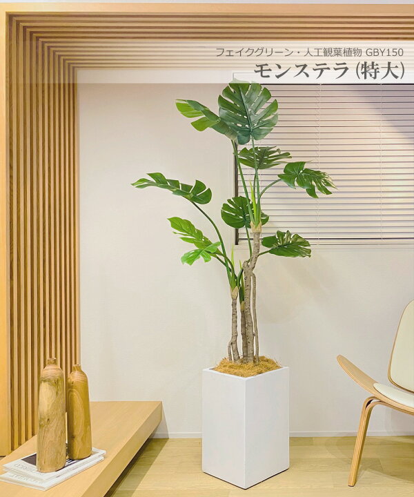 楽天市場】モンステラ ホウライショウ 180cm 特大 人工観葉植物 