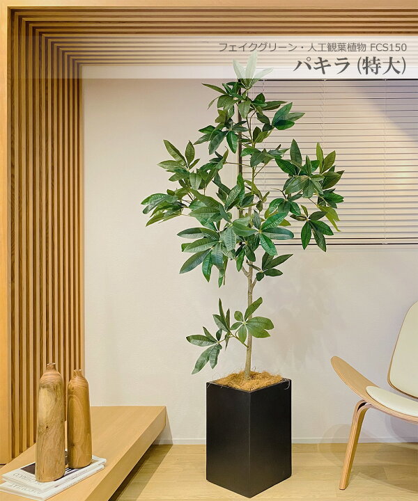 楽天市場】パキラ 180cm 特大 人工観葉植物 フェイクグリーン 観葉植物 