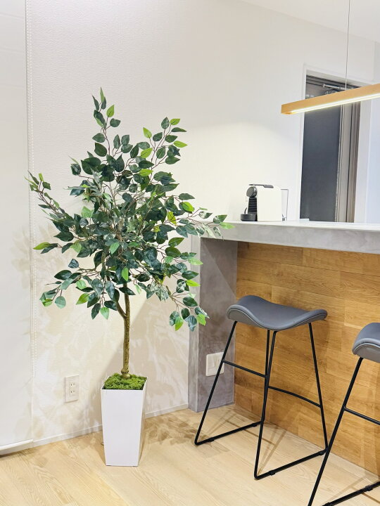 楽天市場】ベンジャミン 人工観葉植物 160センチ フェイクグリーン 