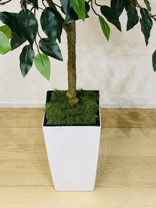 楽天市場】ベンジャミン 人工観葉植物 160センチ フェイクグリーン 