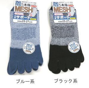 yzam \100 5{w \bNX bV\bNX O T|[g Y\bNXE amC 25-27cmy|bLz ܖ{w\bNX ȍł₩ȗSn w̒