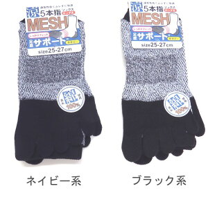 yzam \100 5{w \bNX bV\bNX O T|[g Y\bNXE amC 25-27cmy|bLz ܖ{w\bNX ȍł₩ȗSn w̒