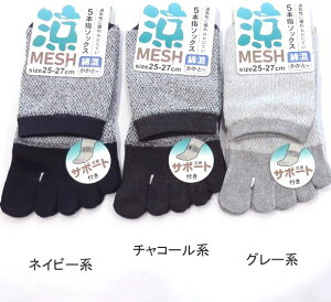 yzam ȍ 5{w \bNX bV\bNX ~h T|[g ƕt Y\bNXE amC 25-27cmy|bLz ܖ{w\bNX ȍł₩ȗSn w