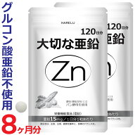 亜鉛 サプリメント 120日分×2袋 1日1粒 15mg 男性 女性 エイジングケア 元気 美容 妊娠 妊活 zinc Zn ア…