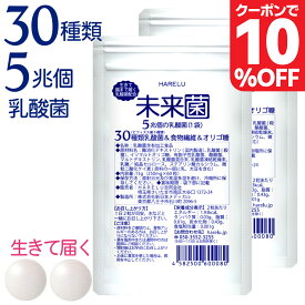＼10％クーポン有 11日2時迄／乳酸菌 サプリ ビフィズス菌 30種類 5兆個 30日分×2袋 腸内フローラ プロバイオティクス 酪酸菌 クレンズ ラクリス 腸内環境 オリゴ糖 食物繊維 どっさり 有胞子性乳酸菌