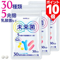 楽天市場】腸内フローラの通販