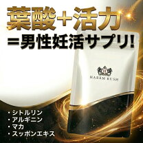 楽天市場】男性 活力の通販