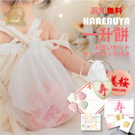 【限定価格】一升餅 お祝いセット[ナップサック付き 選び取りカード ガーランド リーフ 説明書等] シール…