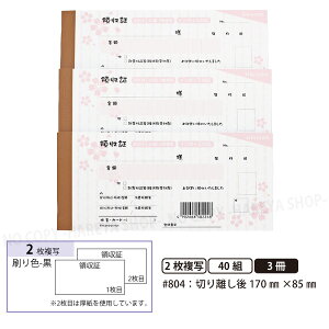 fUC̎#804  F 2 3y[֑z {^Cv̎ 140g ؂藣W170mm×H85mm C{CXΉ 肪ɂFm[J[{ qTS HISAGO-#804