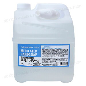 ZfBA@pnh\[v A^Cv@l4Li[X{gpj@LύX̐V^Cv F4683