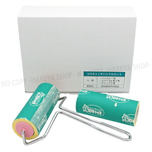 nh100mmXyAe[v5m2Zbg@ 100mmnh×1100mm5m×2ƃXyALbv×2̃Zbg 1ZbgyzƖp̔S[[@͔S@Sw e[v