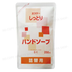 Anh\[vlց@YEx_[̍@250mlpE` ƂV[Y@GXP[Ό3295