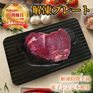 ★ 料理時間を、時短でおいしく★ 解凍プレート 【ハレゾラTBP公式店】急速解凍プレート 解凍トレイ 熱を…