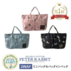 PETER RABBIT [ピーターラビット] 2WAY 軽量 多収納 バッグインバッグ 撥水 サブバッグ ミニバッグ　9ポケット 605 【送料無料・沖縄及び離島含む全国】 (追跡可能便ご利用条件）
