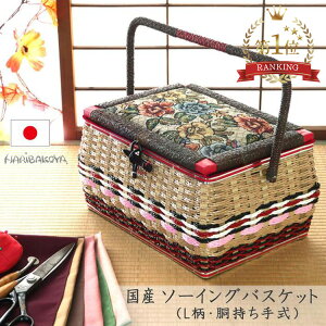 ҂݂ٖ̂D(LjY\[COoXPbg ̓ 蕨 j c ސELOhV̓ ag \[CO{bNX e d؂gC El e erŏЉ Mt