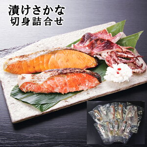 お歳暮2025 竹八漬け魚切身詰合せ 52-17024 お取り寄せグルメ 海産 ギフト ご贈答 自宅用 プレゼント 人気 ランキング ギフト お誕生日 秋鮭・しまほっけ・紅鮭・真いか・トラウトサーモン 西