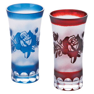 t r[yA@AM5-110-1@j Cj j Ε ̓ TԂ hV̓ ܎O  e   v[g  l N z ~ a Mtg