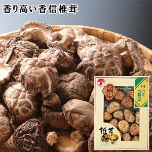 Ε2025 BYǂ񂱒ő 58-01079 񂹃O Mtg  p v[g lC LO  a lߍ킹Zbg ő ő͒J[AςAH@