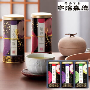 Mtg FX B D@SE5-311-11@j Cj j Ε ̓ TԂ hV̓ ܎O  e   v[g  l z ~ a SȉFX