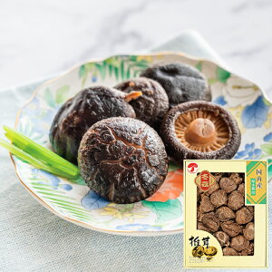 Ε2025 BYǂ񂱒ő 58-01087 񂹃O Mtg  p v[g lC LO  a lߍ킹Zbg ő͒J[AςAH@ۂA