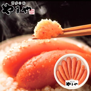 Ε2025 ܂ Fhqq450g 52-20025񂹃O CY Mtg i p v[g lC LO Mtg a  EEʁAOqgȂh