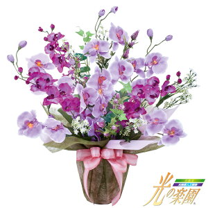 G} cCR`E SE5-181-4 j j Ε ̓ TԂ hV̓ ܎O e  v[g l a G}H{AWg zǔ̃G