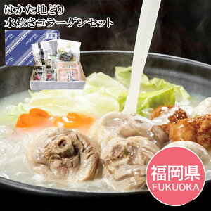 Ε2025 ͂nǂ R[QZbgMtg 52-05042  v[g lC LO 񂹃O Zbg Ƒ  j Hi  a LX ̋