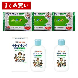 キレイキレイ薬用液体ハンドソープ120ml×2個 携帯用　キレイキレイ 除菌ウェットシート アルコールタイプ 10枚×3個　外出用　手洗い　除菌　粗品　景品　化粧箱入　七五三