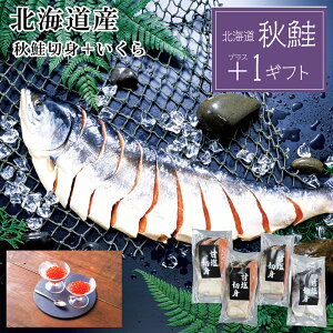 Ε2025 Yn kCY Hؐg{ݖЂ 52-22028 Mtg i v[g lC LO 񂹃O Zbg Ƒ  j Hi  a kCm