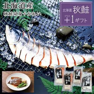 yőP10{zΕ2025 Yn kCY Hؐg{MY ꂢ̎ς 52-22044 Mtg i v[g lC LO 񂹃O Zbg Ƒ  j Hi 