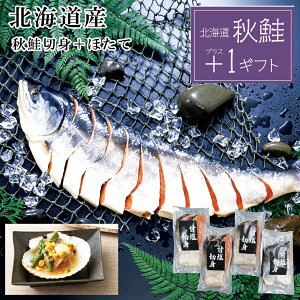 yőP10{zΕ2025 Yn Hgpؐg{o^[Ă 52-22052 Mtg i v[g lC LO 񂹃O Zbg Ƒ  j Hi  a