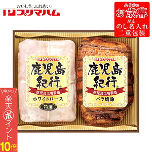 yőP10{zΕ2025 v}nIsMtg 52-75059 񂹃O Mtg i p v[g lC LO a  nƈȗA󂯌pĂu̐_