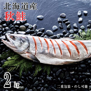 Ε2025 Yn Vؖ2.0kg 52-08017 Mtg  v[g lC LO 񂹃O Zbg Ƒ  j Hi  a  G߂̕AkC