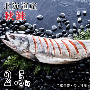 Ε2025 Vؖ2.5kg 52-08025 Mtg  v[g lC LO 񂹃O Zbg Ƒ  j Hi  a  VNȏ{̉lэV