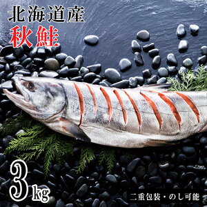 Ε2025 Yn Vؖ3.0kg 52-08033 Mtg  v[g lC LO 񂹃O Zbg  j Hi  a  VNȏ{̉lэV