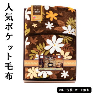 |Pbgѕz@AM5-148-1@lCi j j Ε ̓ TԂ hV̓ ܎O  e   l N  v[g a  Mtg̓