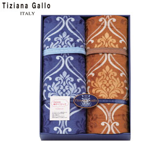 ふわふわあったか毛布2P AM5-163-4 人気商品 内祝 結婚祝い お歳暮 父の日 香典返し 敬老の日 七五三 孫 両親 自宅 プレゼント 御礼 成人式 御年賀 応援 プレゼント お誕生日 送料無料 ギフト