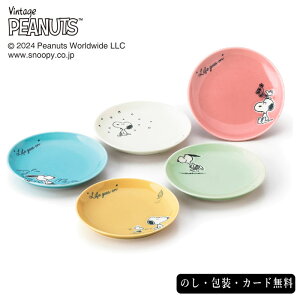 s[ibc V[Yt@Cuv[gZbg SE5-160-5 e[uEFA j oCj j ̓ hV̓ ܎O  e   v[g  a ̓̓ v[