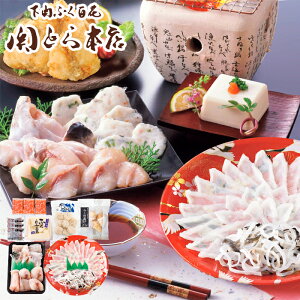 [J[ ӂÂ ƑZbg SE5-241-2 j j Ε ̓ TԂ hV̓ ܎O e  v[g l a  ̓̓ hgA