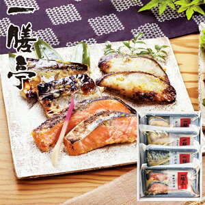 [J[ V Ȃ̐ЃZbg SE5-243-1 j j Ε TԂ hV̓ ܎O e  v[g a  ̓̓  Jɉt