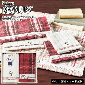 Xk[s[`FbN EHbV^I2P SE5-45-1 j Cj j ̓ hV̓ ܎O  e   v[g  a ǂAȕ͋C^[