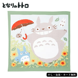 ggƈꏏ グ^ISE5-48-7 j Cj j hV̓ ܎O  e   v[g  a \ʂ͂₳G̃K[[Aʂ͂ӂӂ̖QgŐ