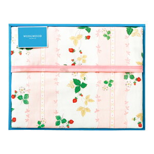 EFbWEbhȖѕz(щH) SE5-60-13.14 j oYj Cj j hV̓ ܎O  e  v[g  a ̓̓ fUCZʁA Eő